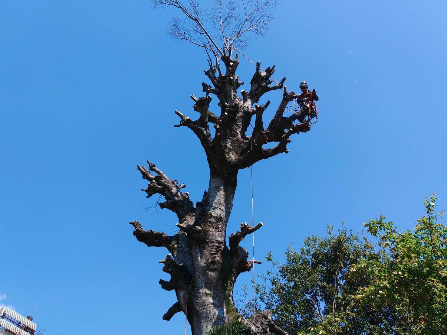 LINE_ALBUM_中原実業　山鹿市山鹿_230416_13